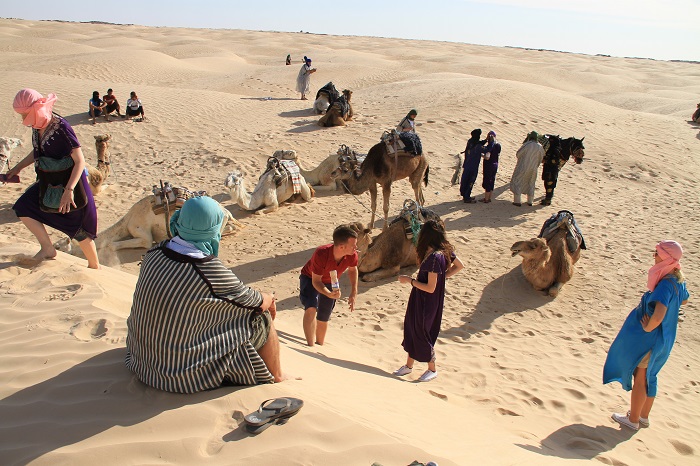 Kamele v puscavii, foto Tilen Perko