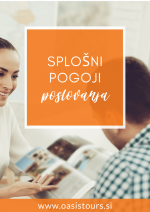 Splošni pogoji