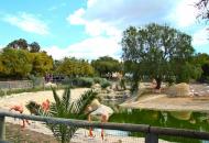 Friguia Park in Zulu night